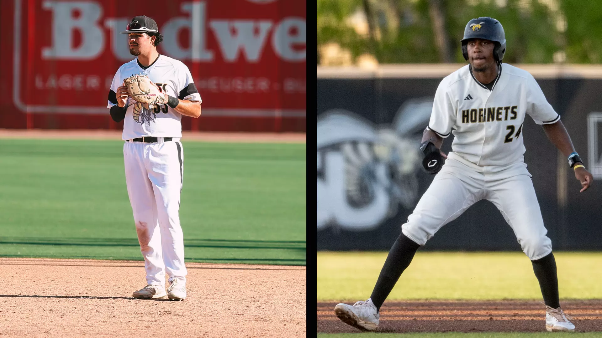 Alabama State Duo Drafted in the MLB Draft by Washington and Detroit
